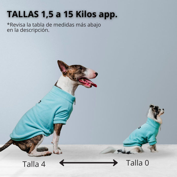 Pet Lounge sweater turquesa para perros y gatos detalle tejido