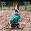 Pet Lounge Sweater Color Turquesa Perros y Gatos