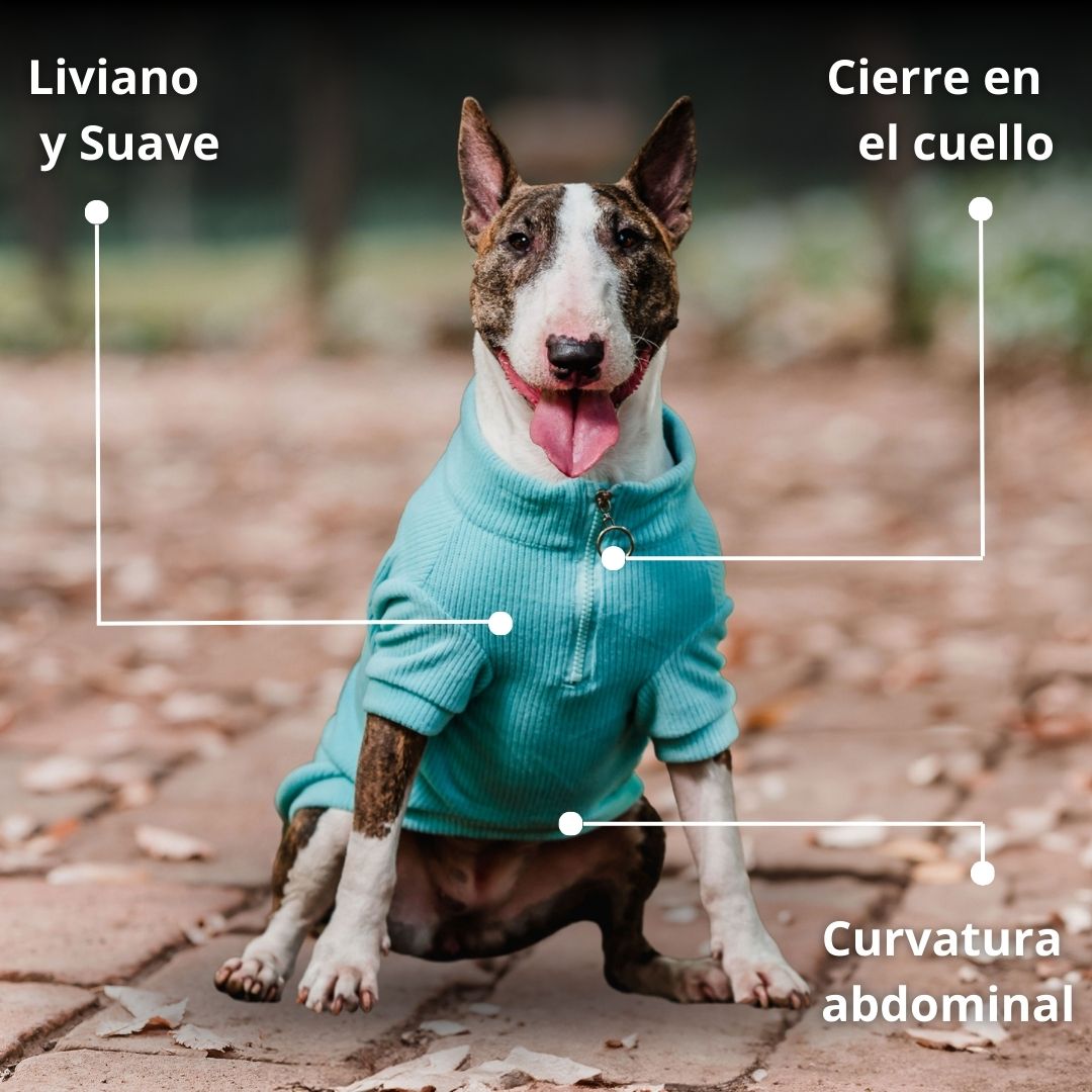 Pet Lounge Sweater Color Turquesa Perros y Gatos