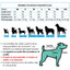Pet Lounge Cortaviento Impermeable Perros y Gatos HYDROLITE Celeste