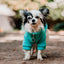 Pet Lounge Sweater Color Turquesa Perros y Gatos