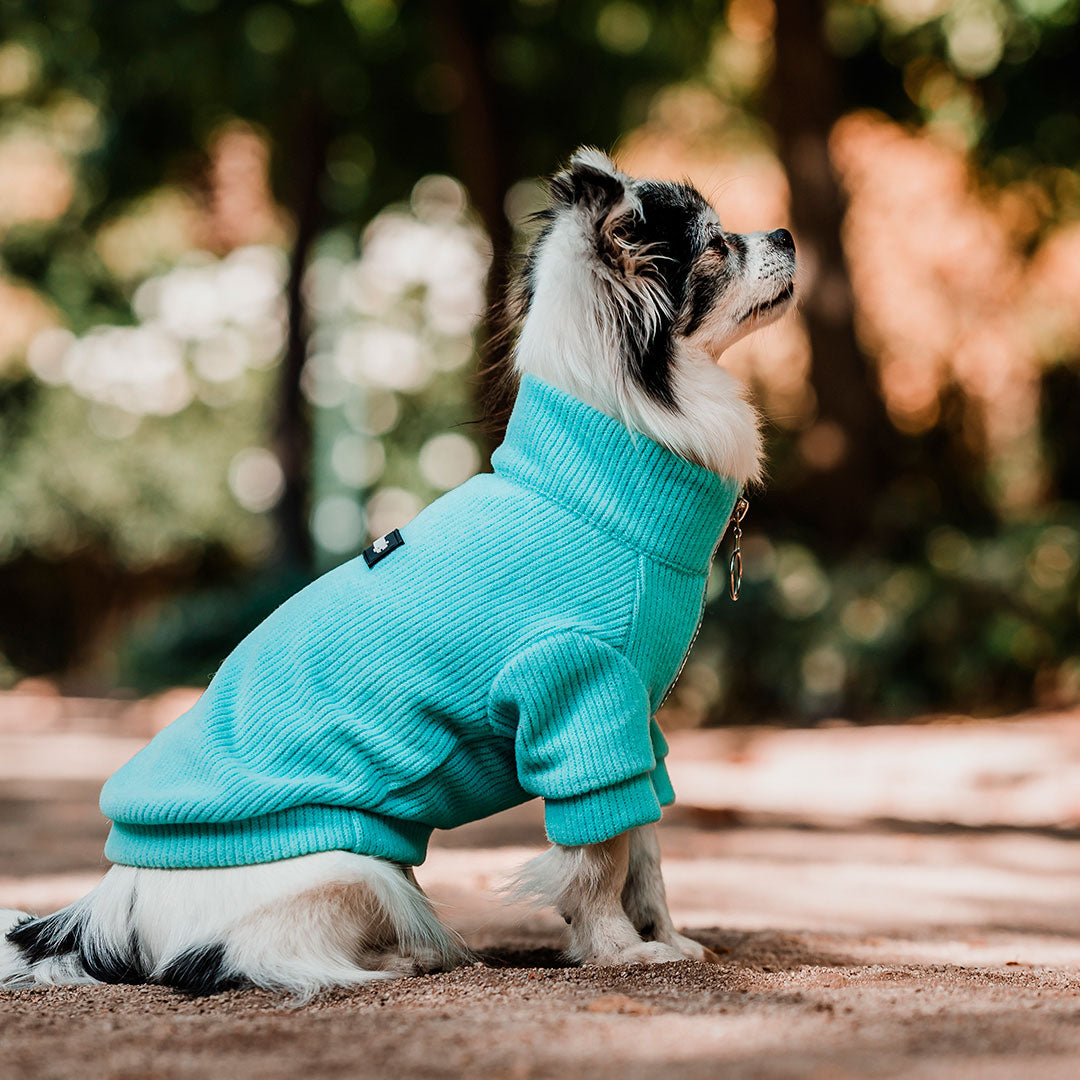Pet Lounge Sweater Color Turquesa Perros y Gatos