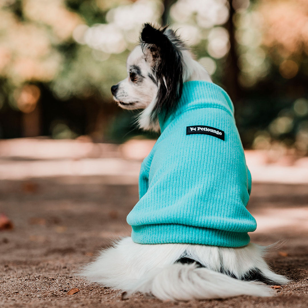 Pet Lounge Sweater Color Turquesa Perros y Gatos