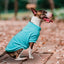 Pet Lounge Sweater Color Turquesa Perros y Gatos