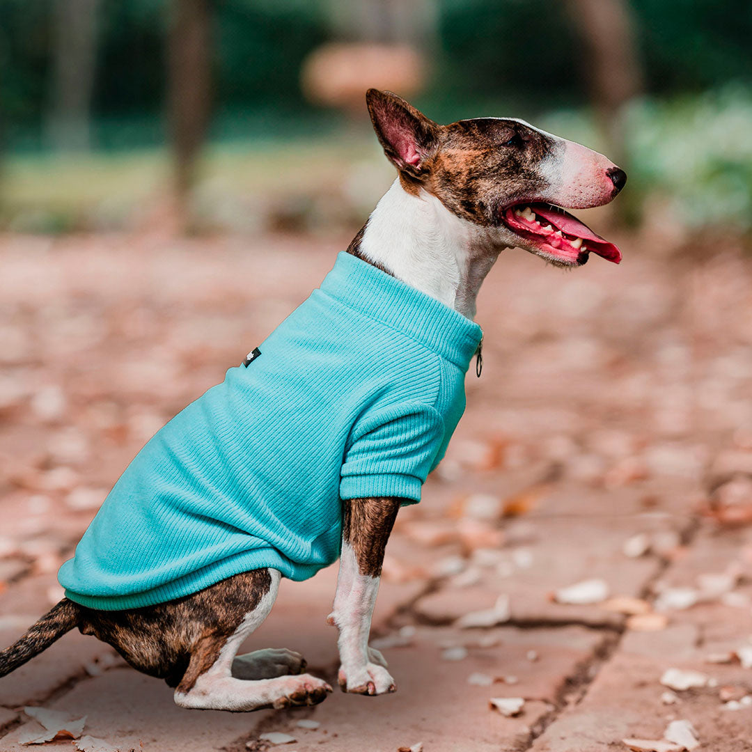 Pet Lounge Sweater Color Turquesa Perros y Gatos