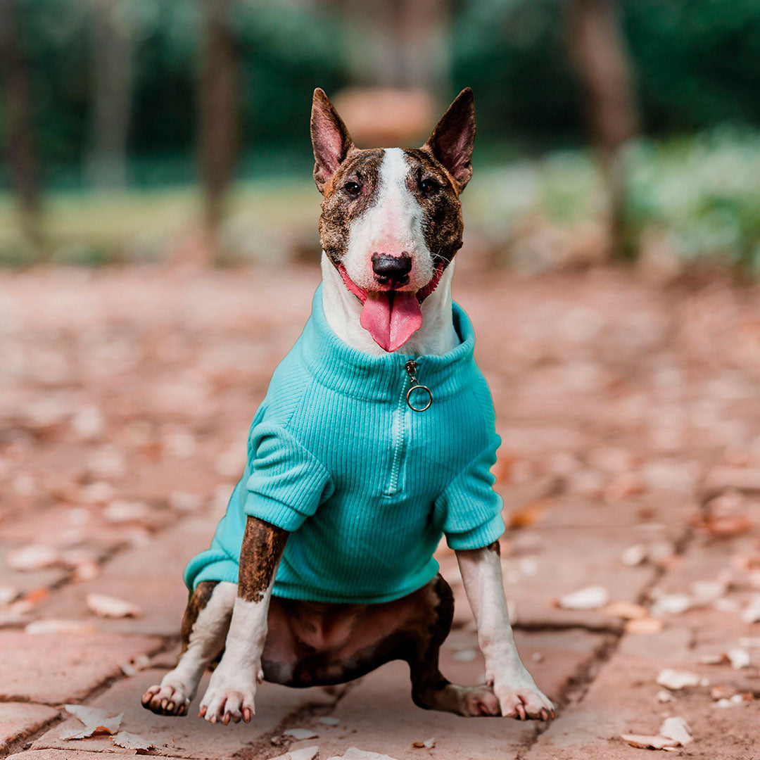 Pet Lounge Sweater Color Turquesa Perros y Gatos