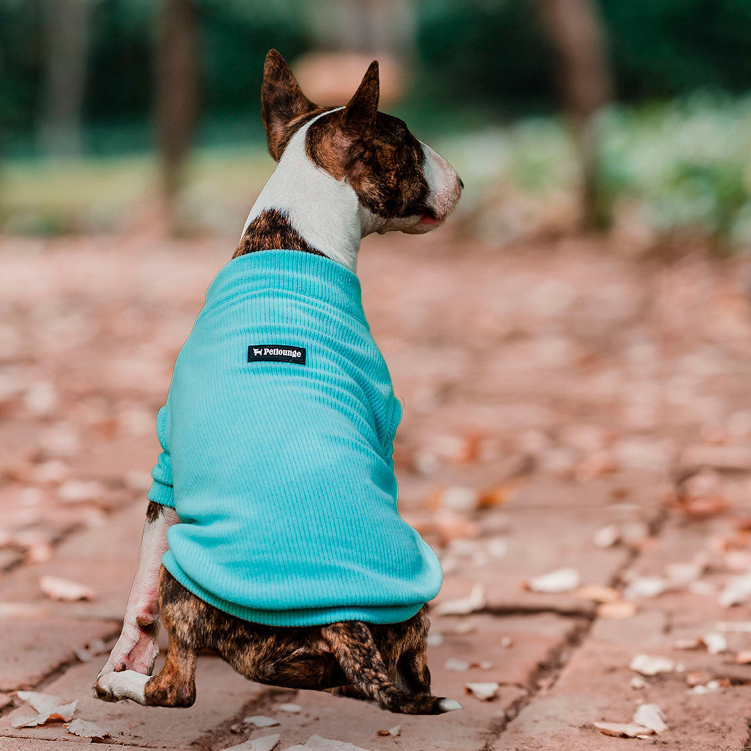 Pet Lounge Sweater Color Turquesa Perros y Gatos