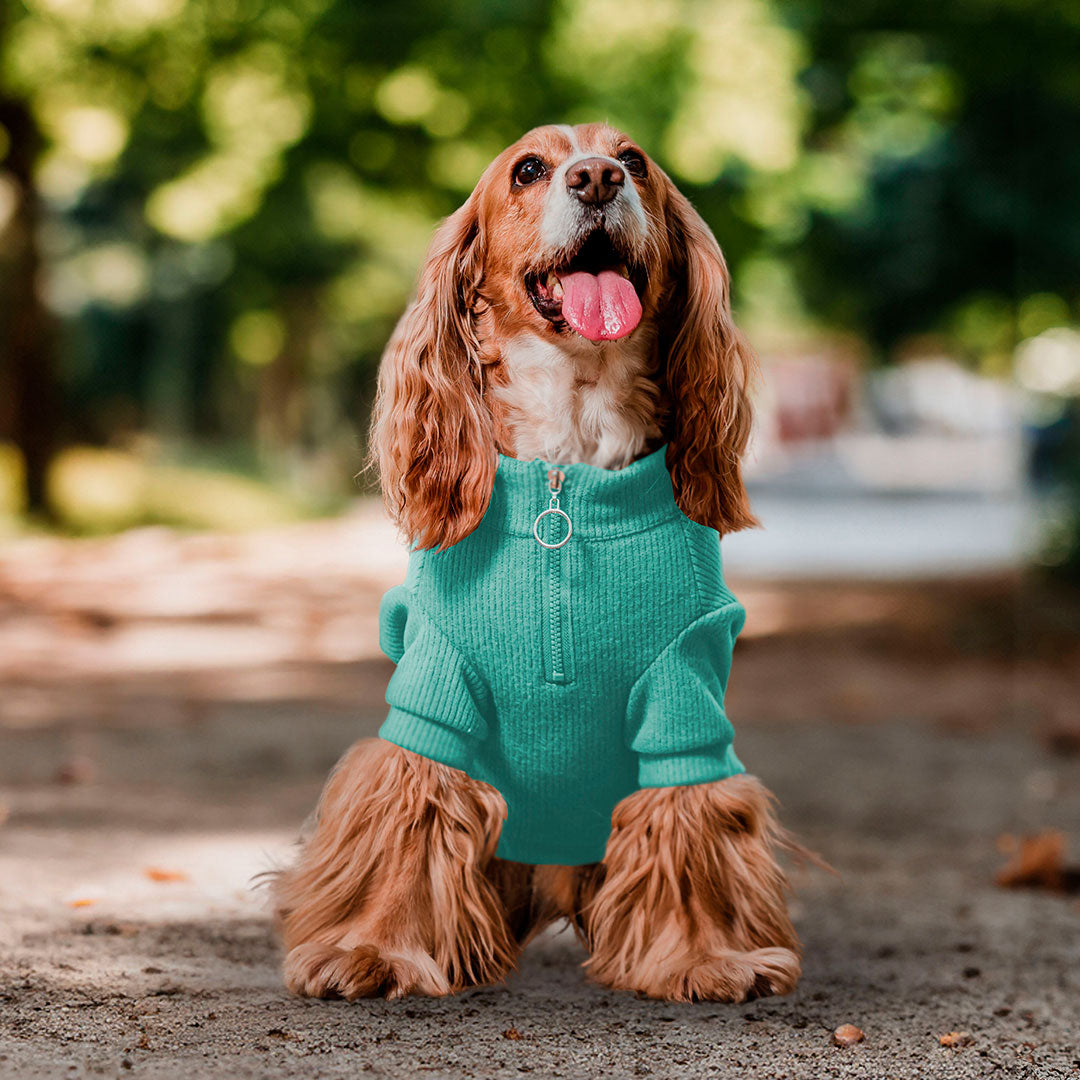 Pet Lounge Sweater Color Turquesa Perros y Gatos