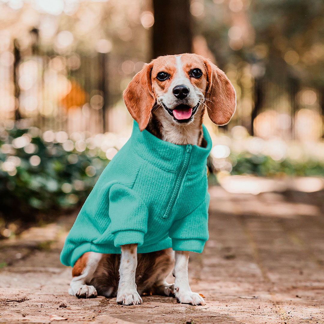 Pet Lounge Sweater Color Turquesa Perros y Gatos