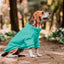 Pet Lounge Sweater Color Turquesa Perros y Gatos