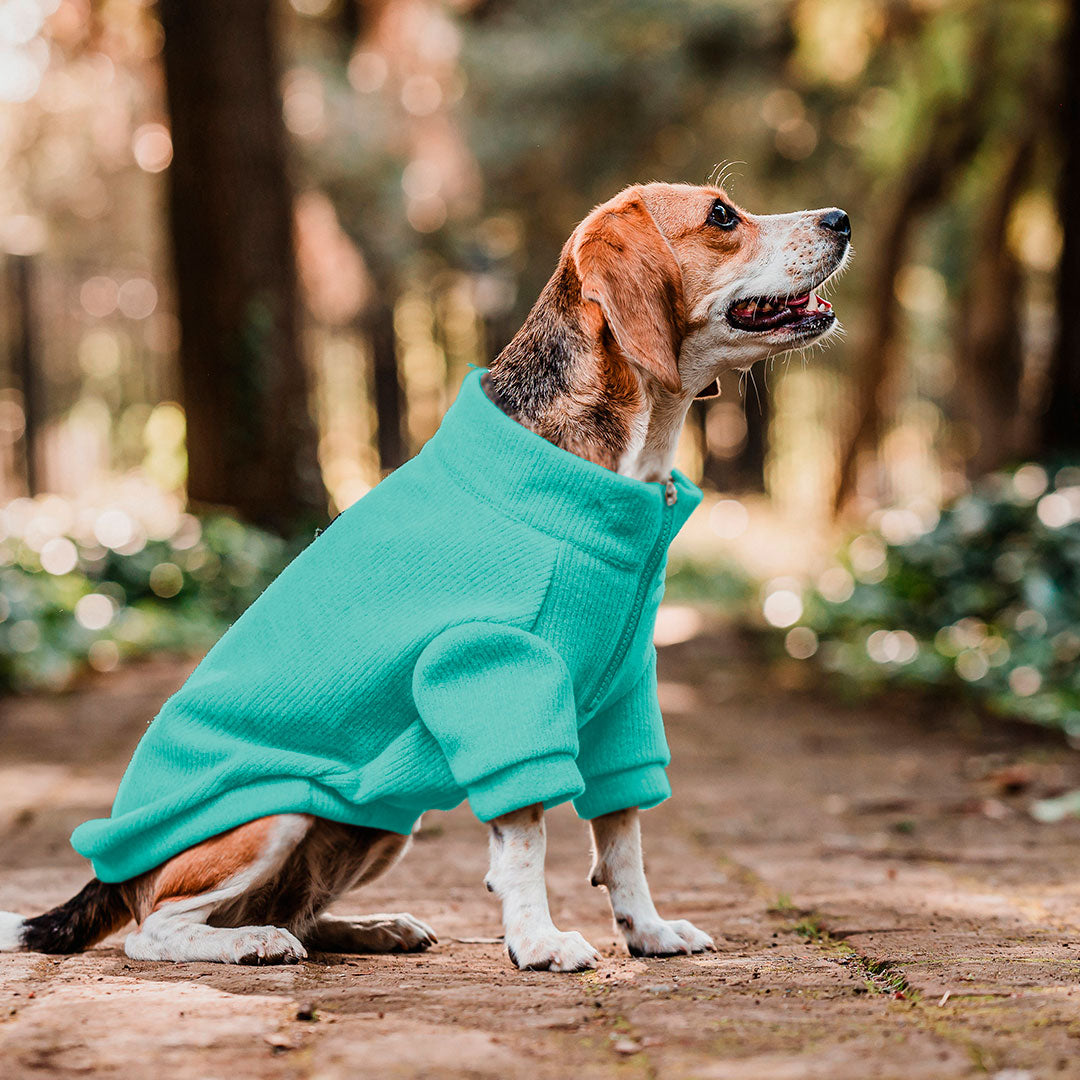 Pet Lounge Sweater Color Turquesa Perros y Gatos