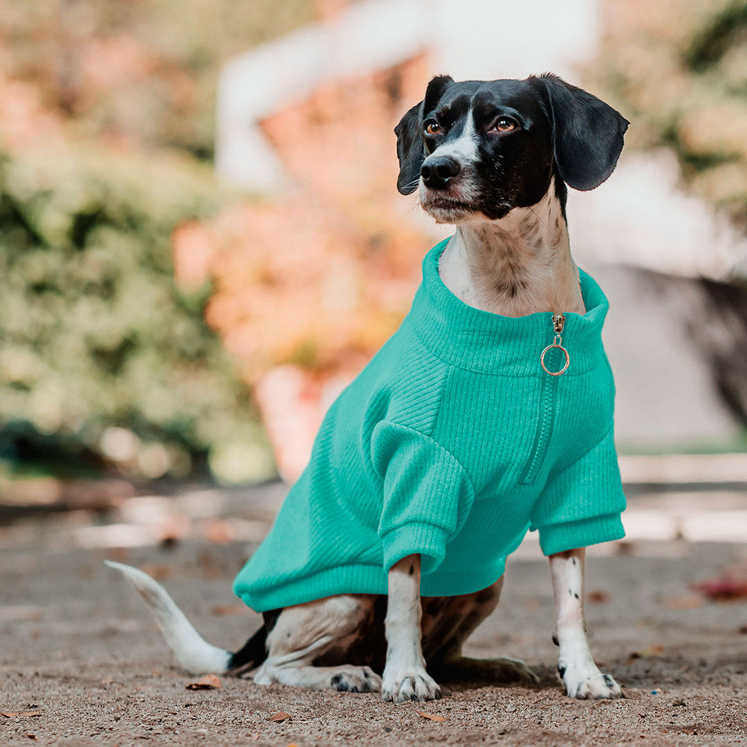 Pet Lounge Sweater Color Turquesa Perros y Gatos