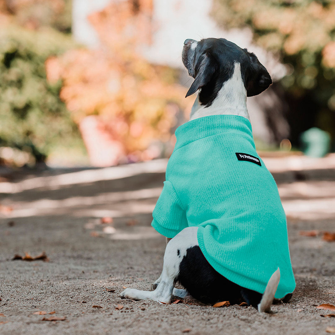 Pet Lounge Sweater Color Turquesa Perros y Gatos