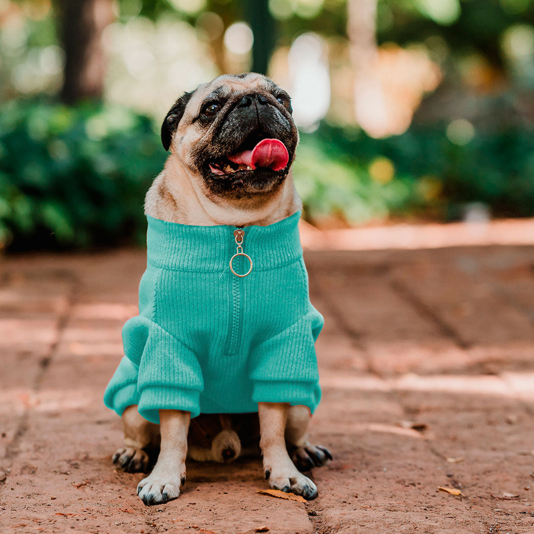 Pet Lounge Sweater Color Turquesa Perros y Gatos