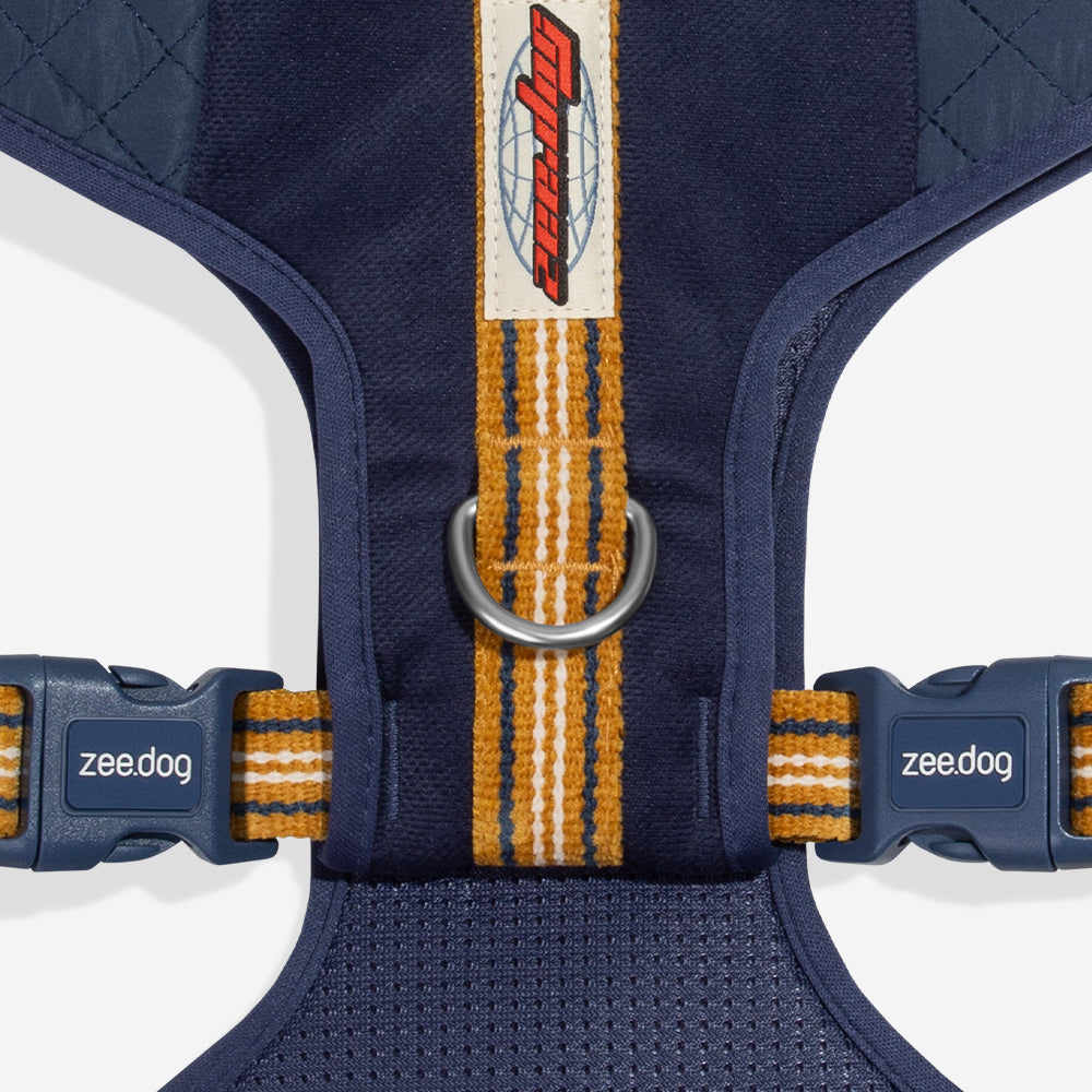 Zee Dog Arnés Air Mesh Velvet Vibes Misfit puesto en un perro