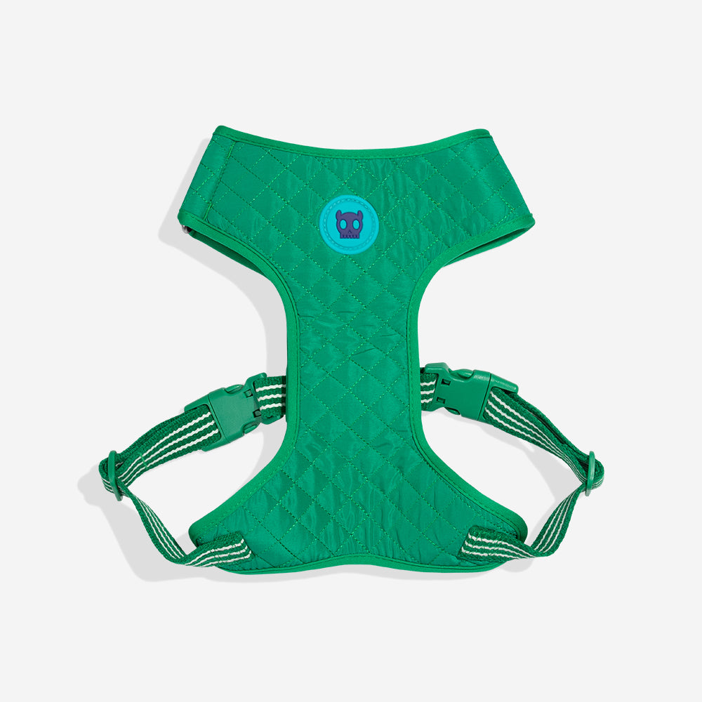 Zee Dog Arnés Air Mesh Velvet Vibes Vert para perro, vista principal