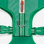Zee Dog Arnés Air Mesh Velvet Vibes Vert puesto en un perro