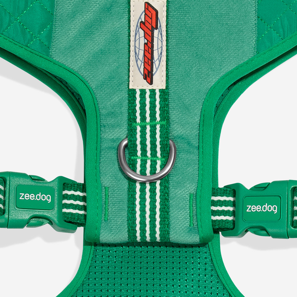 Zee Dog Arnés Air Mesh Velvet Vibes Vert puesto en un perro