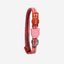 Zee Dog Collar Gato Velvet Vibes Courtney, vista principal