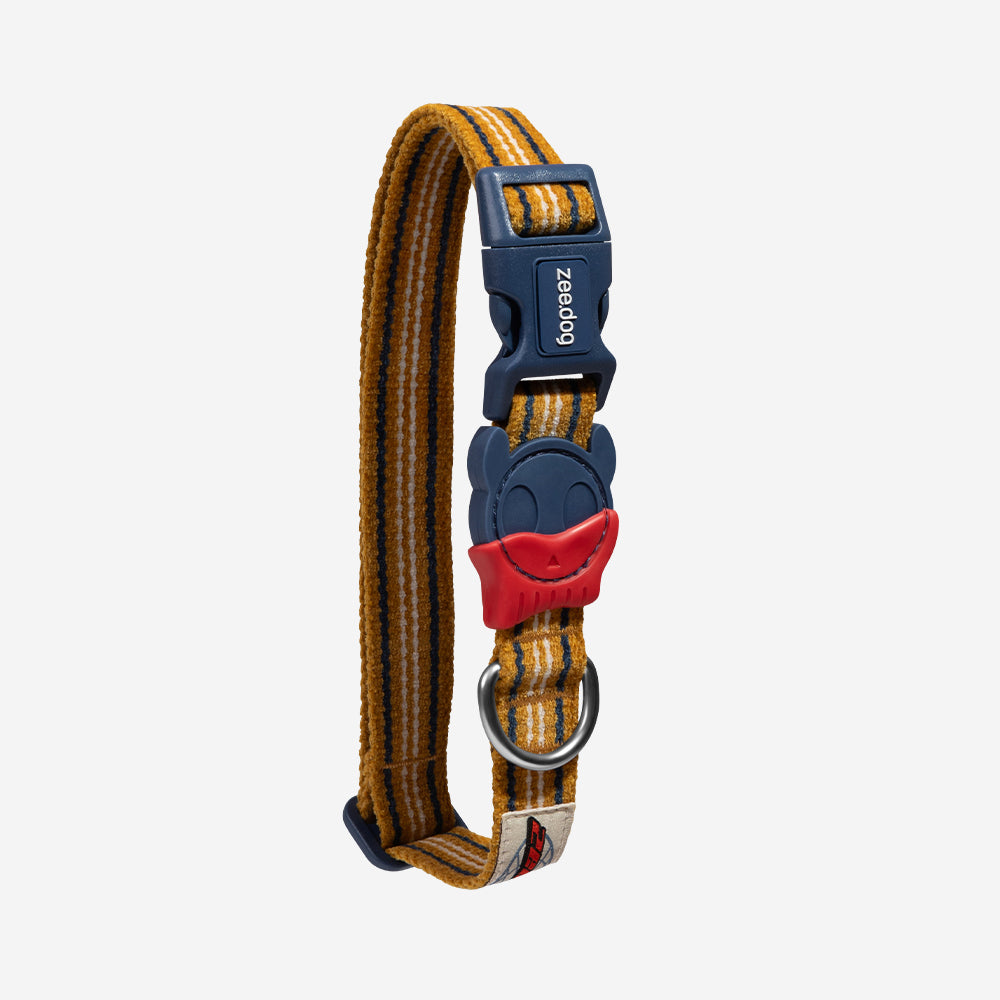 Zee Dog Collar Velvet Vibes Misfit para perro, vista principal
