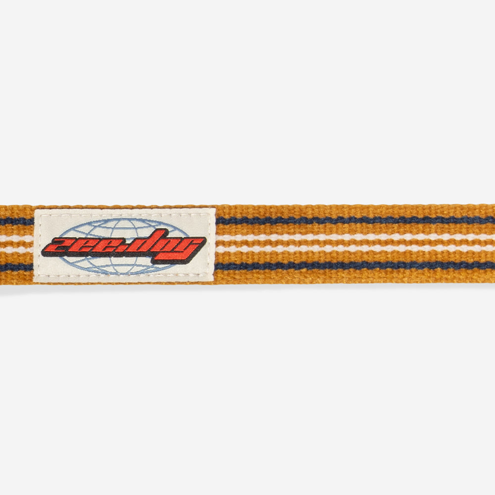 Zee Dog Collar Velvet Vibes Misfit puesto en un perro
