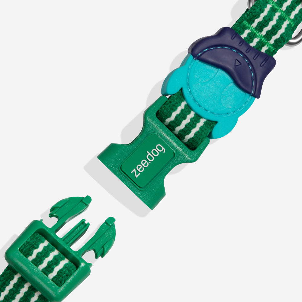 Zee Dog Collar Velvet Vibes Vert puesto en un perro