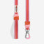 Zee Dog Correa Velvet Vibes Courtney talla L para perro, vista principal