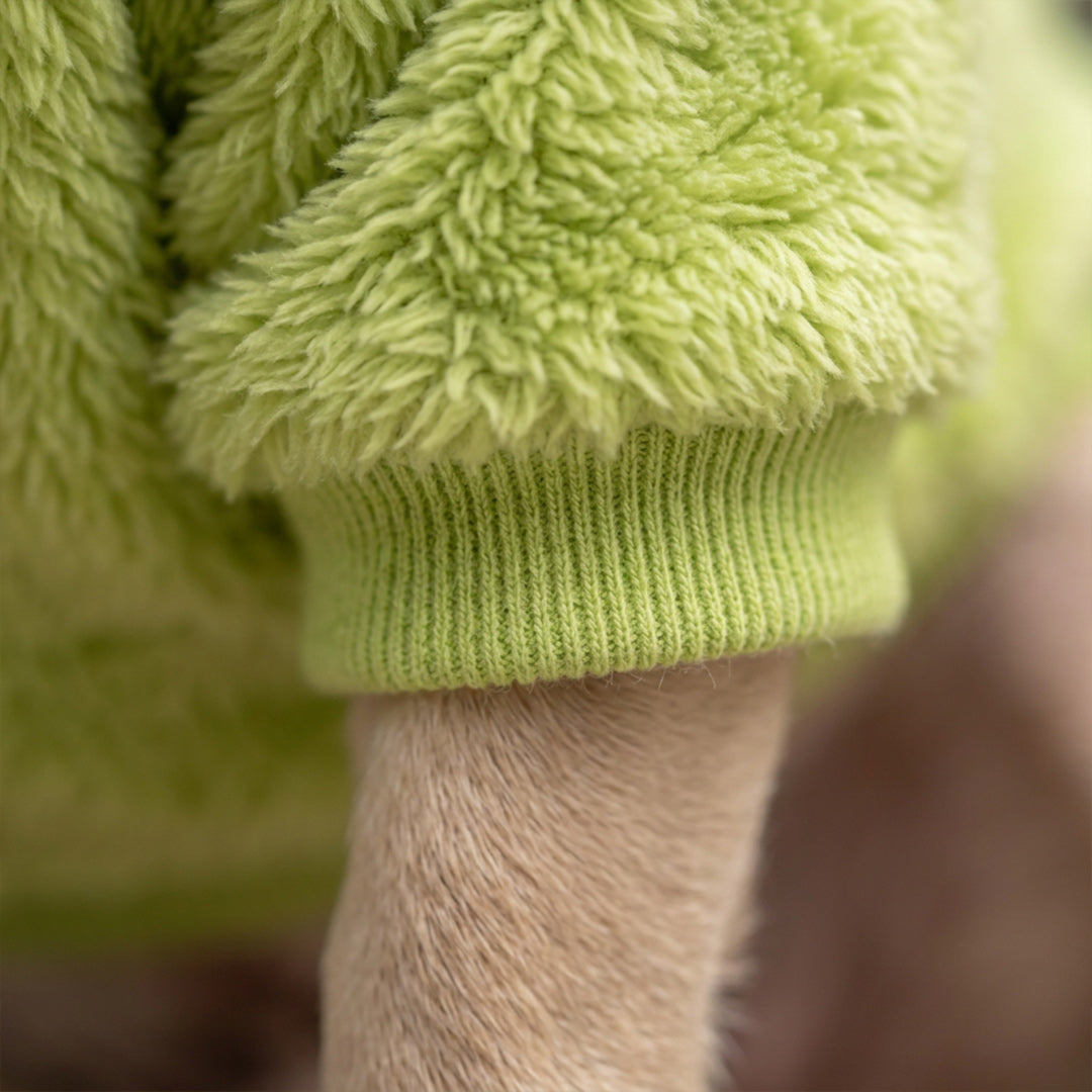 Pet Lounge Corderito Color Verde Perros y Gatos