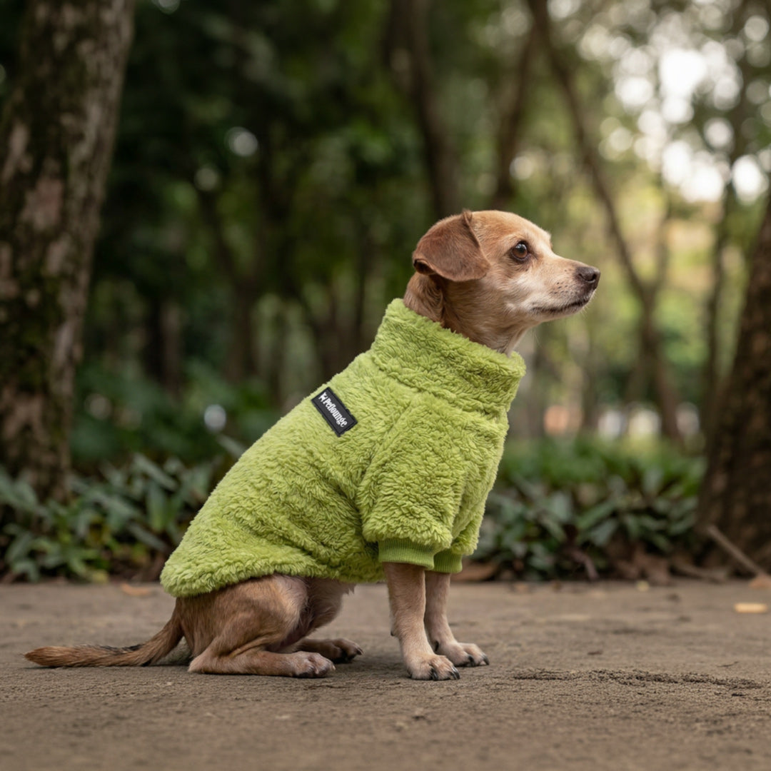 Pet Lounge Corderito Color Verde Perros y Gatos