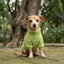 Pet Lounge Corderito Color Verde Perros y Gatos