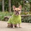 Pet Lounge Corderito Color Verde Perros y Gatos