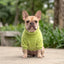 Pet Lounge Corderito Color Verde Perros y Gatos