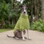 Pet Lounge Corderito Color Verde Perros y Gatos