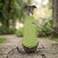 Pet Lounge Corderito Color Verde Perros y Gatos