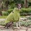 Pet Lounge Corderito Color Verde Perros y Gatos