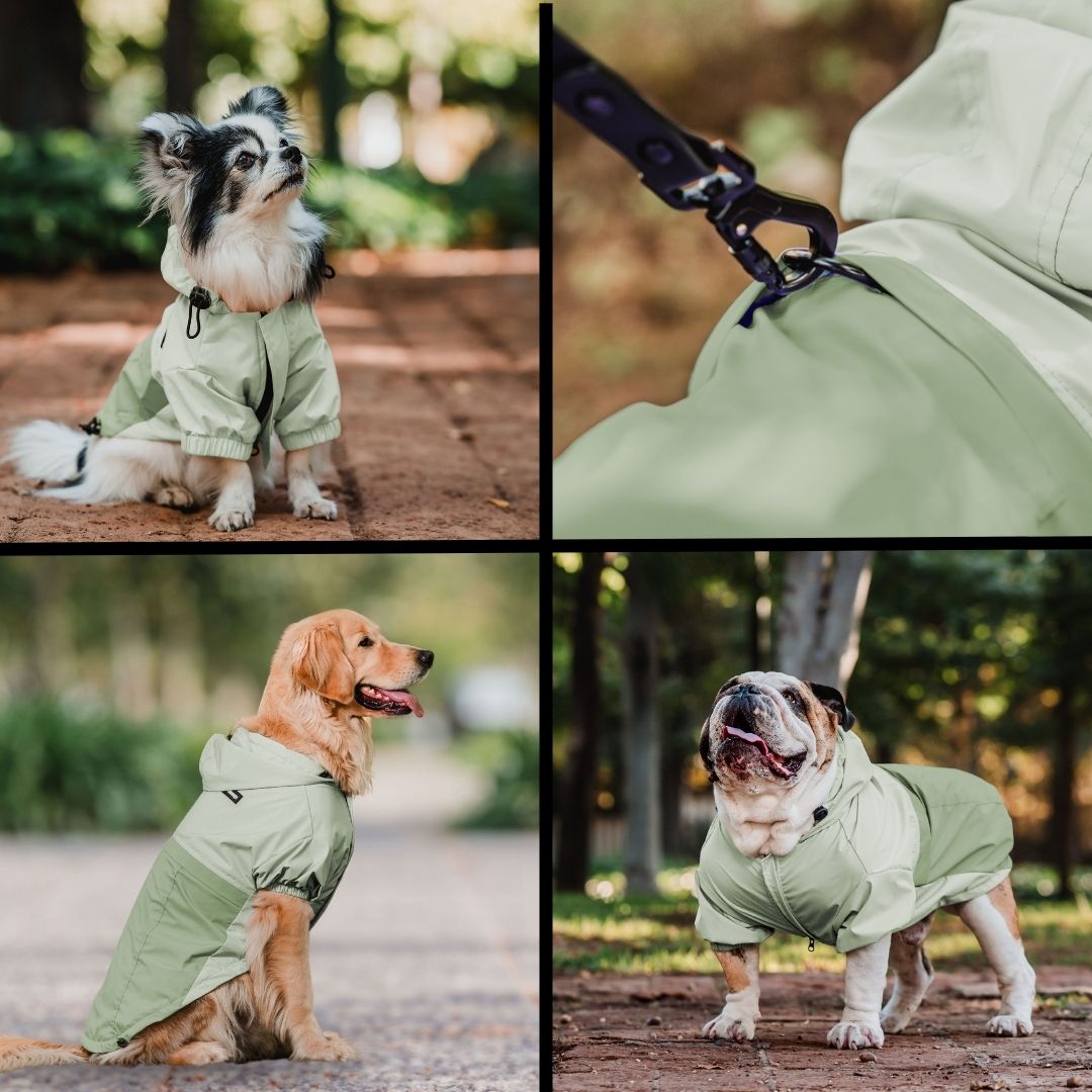 Pet Lounge Cortaviento Impermeable Perros y Gatos HYDROLITE Verde