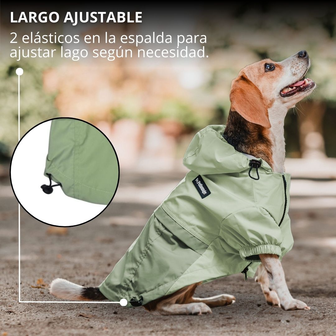 Pet Lounge Cortaviento Impermeable Perros y Gatos HYDROLITE Verde