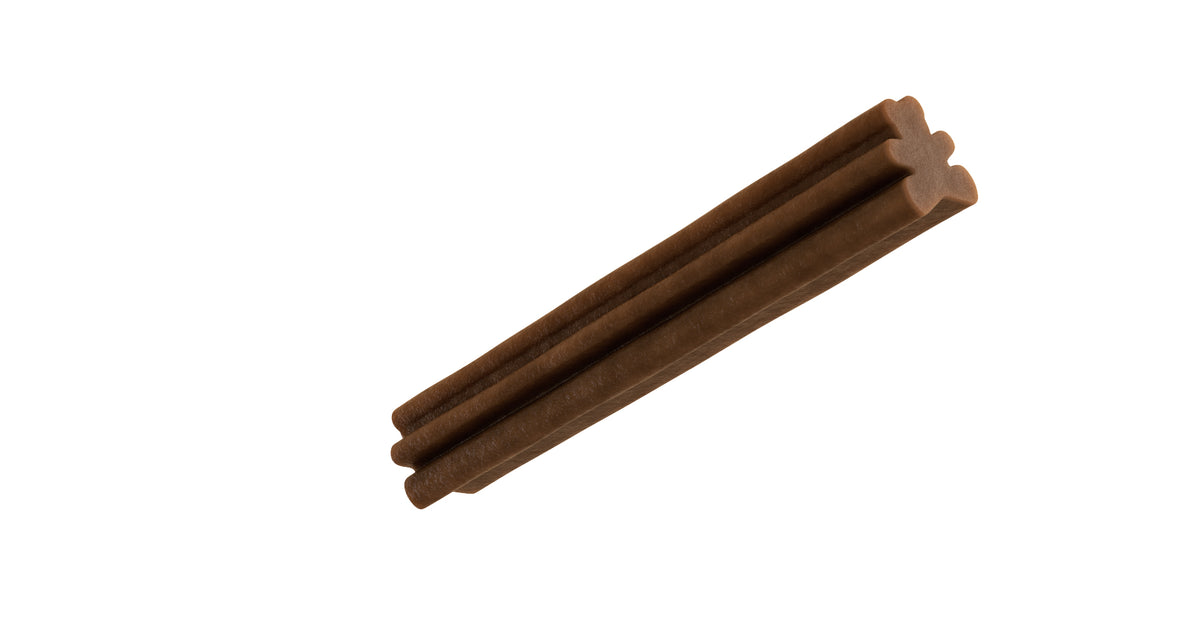 Snack dental Whimzees Puppy con forma de osito, visto de lado