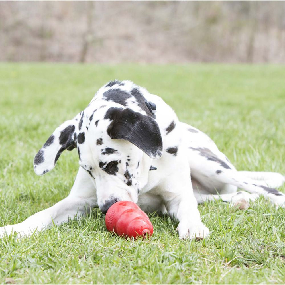 KONG Stuff' N Verdadera Mantequilla de Maní para Perros