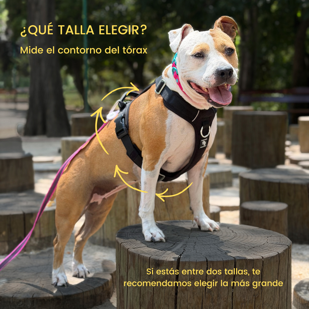 Guía de tallas del Arnés Aerosport de Street Dogs: cómo medir el contorno del tórax de tu perro