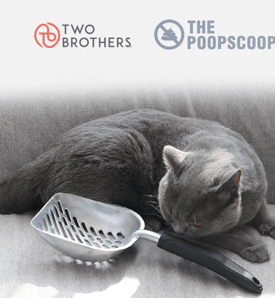 Two Brothers The Poop Scoop