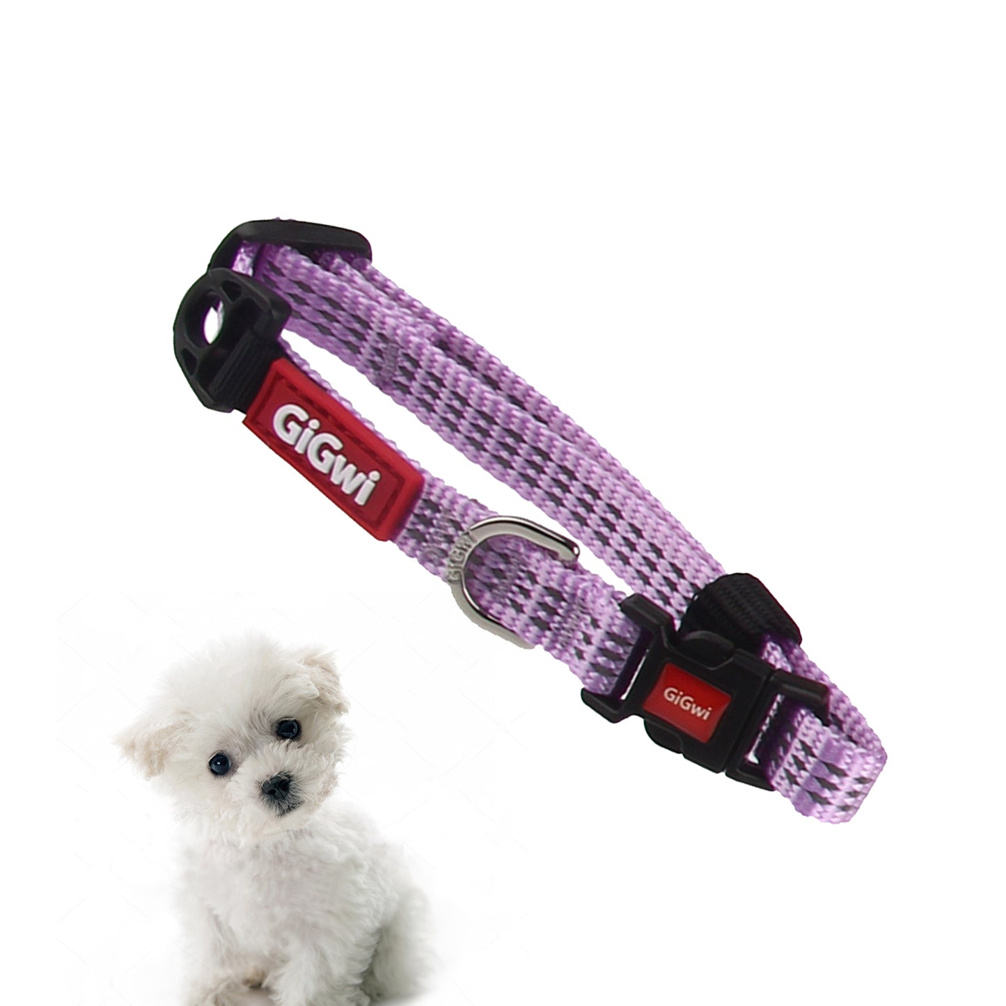 Gigwi Collares Perro Línea Clásica