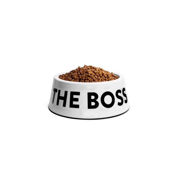 Zee Dog The Boss plato para perros blanco vista lateral