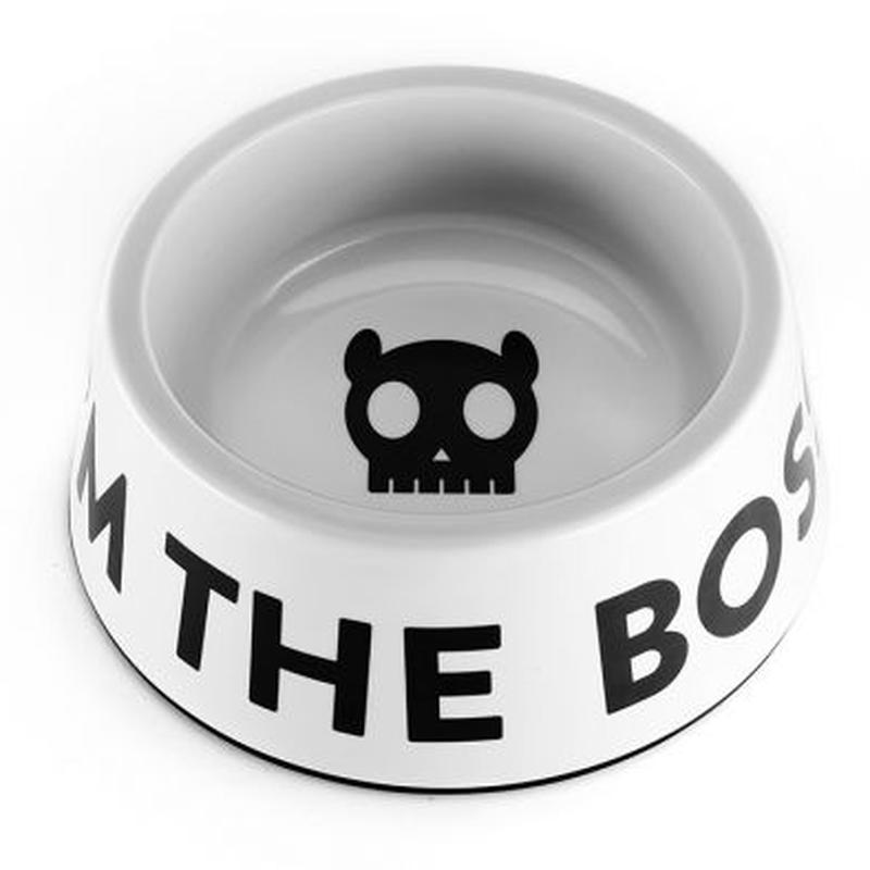 Zee Dog The Boss plato para perros blanco vista superior