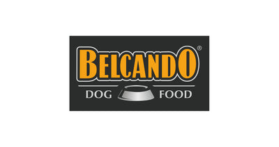 Belcando