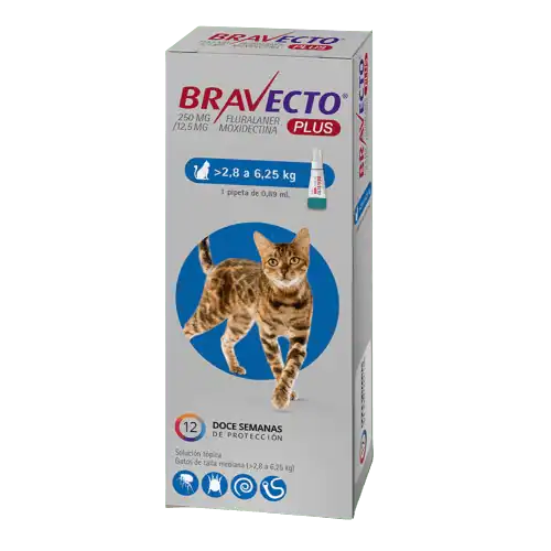 Bravecto Plus Gato Pipeta >2.8 a 6.5 Kg