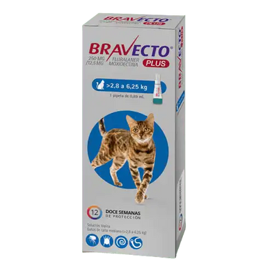 Bravecto Plus Gato Pipeta >2.8 a 6.5 Kg