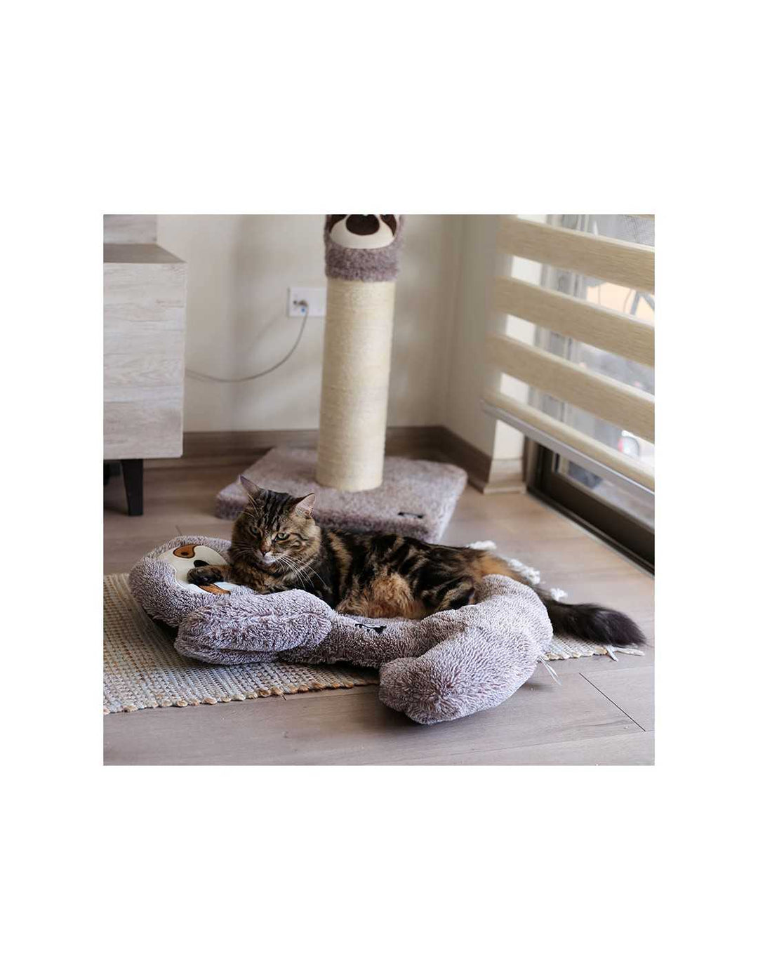 BRNX cama perezoso anti stress talla M para perro vista superior