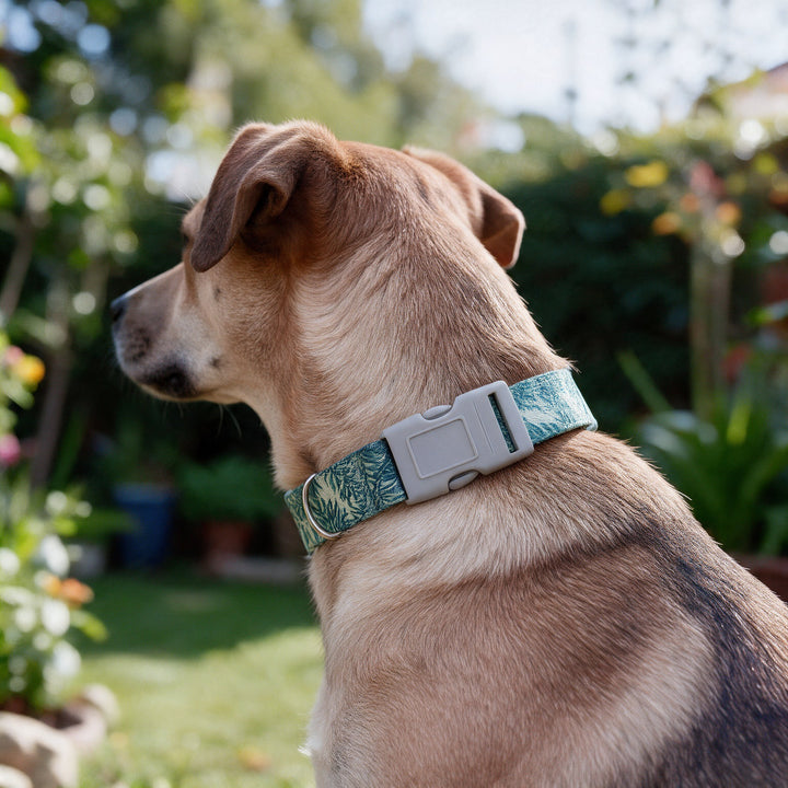 Perro con el collar Buen Amigo ajustable verde puesto