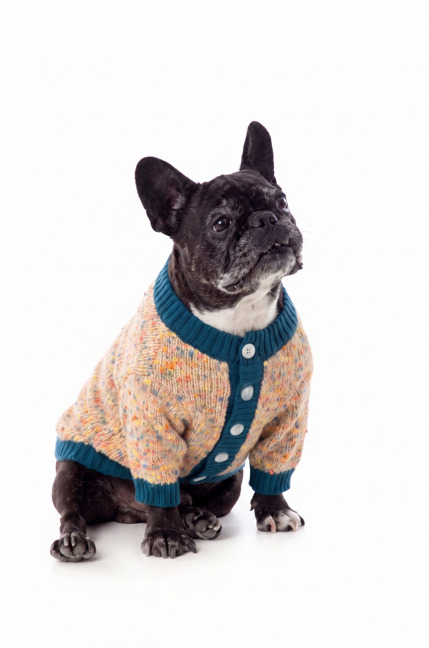 Chaleco con Botones Verde Perros y Gatos